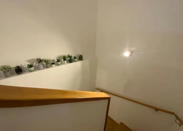 Comfort Living - Buchengasse Viyana